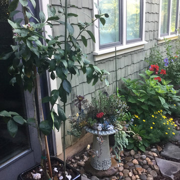 Garden Viewpoints