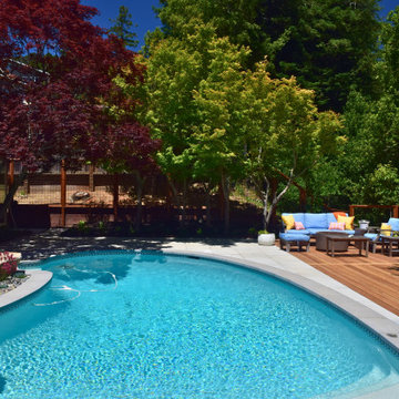 Backyard Pool Deck in San Rafael