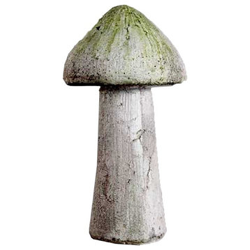 Wild Mushroom 14, Display