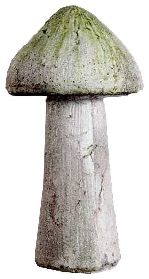 Wild Mushroom 14, Display