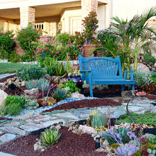 Yard Ideas