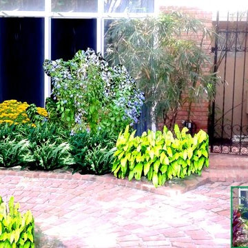 CONTEMPORARY TROPICAL / BUTTEFLIES GARDEN COURTYARDS