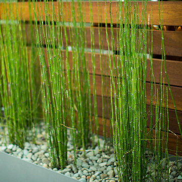 Burns Backyard Renovation