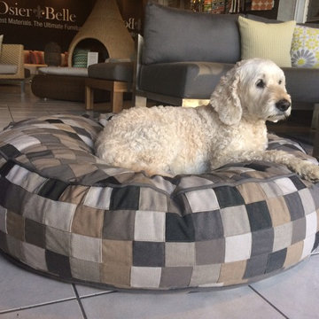 Seaforth Showroom - modelled by Oliver George Womble - Osier Belle Dog Beds