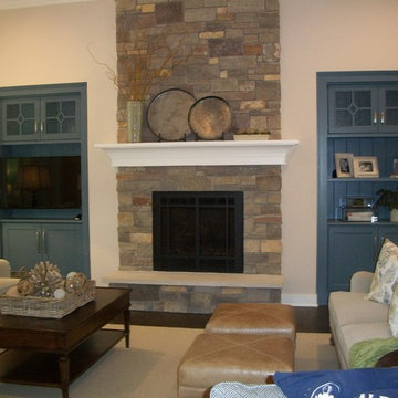 Mendota fireplaces and inserts