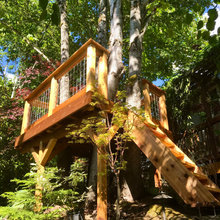 My Treehouse