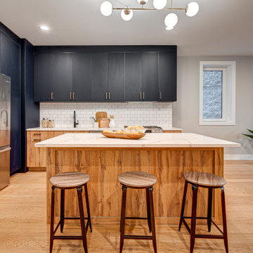2448 W Diversey - New Construction Development
