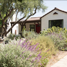 Front garden landscapes