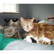 Neil Arpin's photo