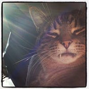 Carlie Baxter's photo