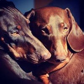 Ben Aechtner's photo