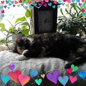 Gabriela Pardun's photo