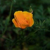 Pam Hunter's photo