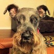 LuAnn Crowley's photo