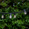 Brightech Ambience Pro Solar Powered Outdoor String Lights - 1W LED, Soft White,