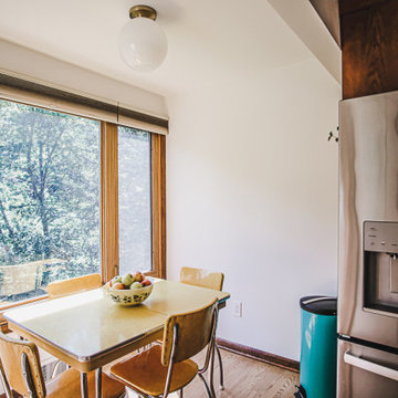 Mid-Century Modern Kitchen