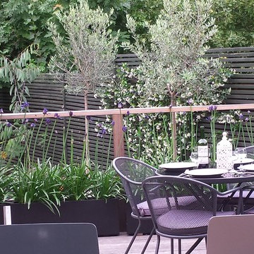 Modern mediterranean garden