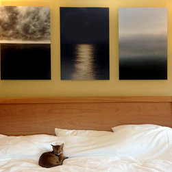 Framed work (photographs) in spaces - Photographs