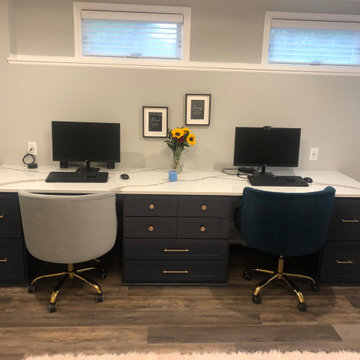 Basement Murphy Bed Remodel