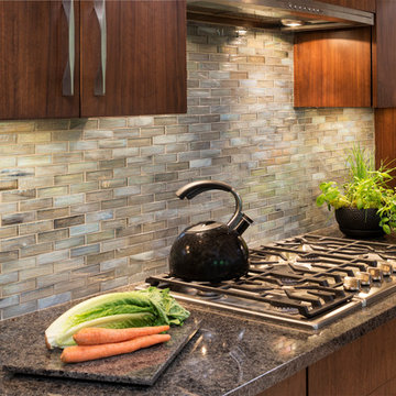 Minnetonka Contemporary Renovation