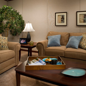 Basement Finishing Ideas