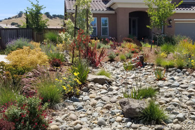 Inspiration for a mediterranean landscaping in Sacramento.