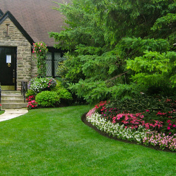 Planting and Maintenance