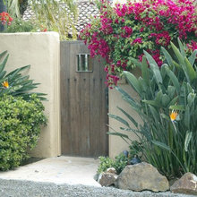 YARD IDEAS / REFERENCE