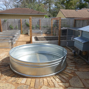 Urban Farm with Chickens