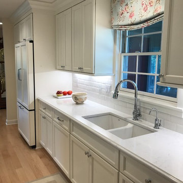 Lanz Remodel and Addition