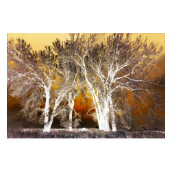 Franklin Arts - Abstract Painterly Tree Picture Artwork, 60x40 - Prints And Posters