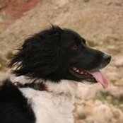 Karla Johnson's photo
