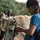 gideon_botha