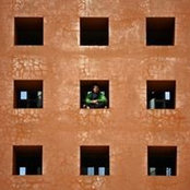 Davide Ferrando's photo