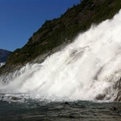 Matt Campbell's photo