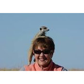 Carol Simpkins's photo