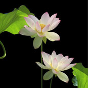 Brenda Broussard's photo