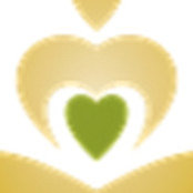 Donna Muccino's photo