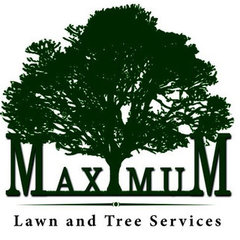 Maximum Lawn And Tree Services