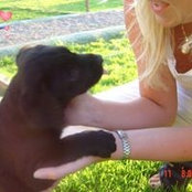 Michaela Karlsson's photo