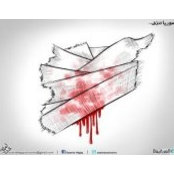 Foto von Haya Abulafi