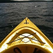Amanda Mayle's photo