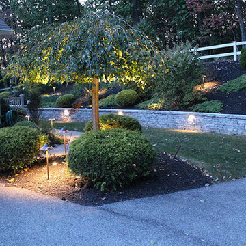 Low Voltage Lighting