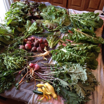 April Harvest