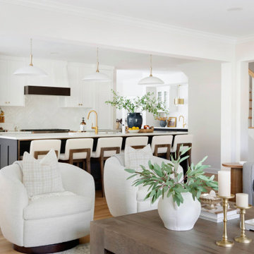 Edina Court - Whole Home Remodel