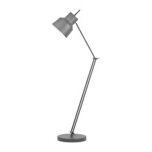 Floor Lamps