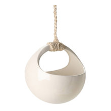 Plant Accessories