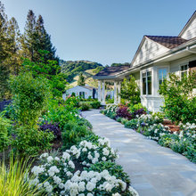 Omi's side yard!!
