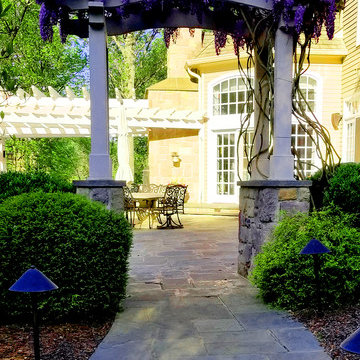 An Arbor and Wisteria