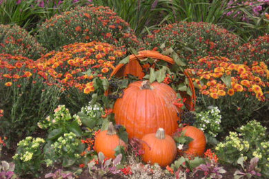 Design ideas for a landscaping in New York.